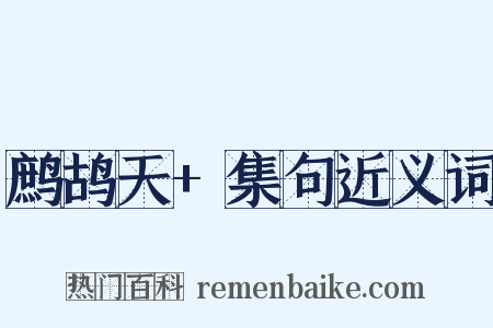 鹧鸪天+集句近义词是什么意思的图片